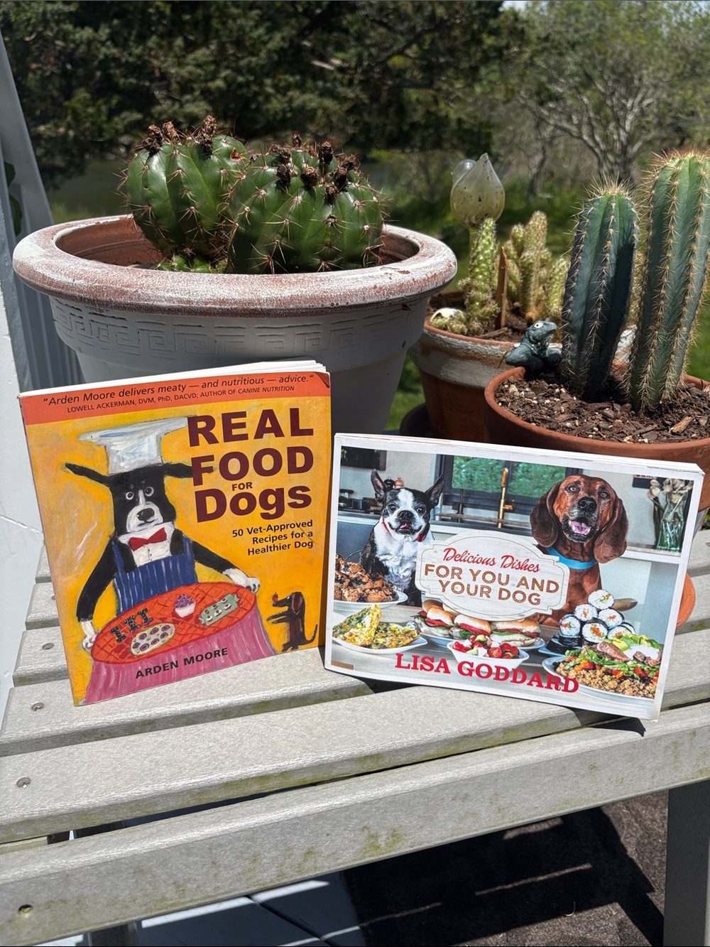Dog Food Healthy Recipes 2 paperback books